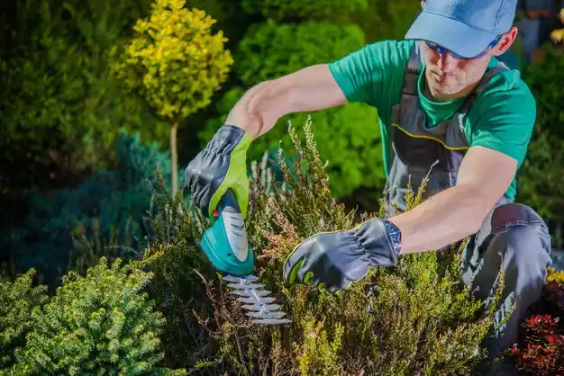 landscaping services Pentwater